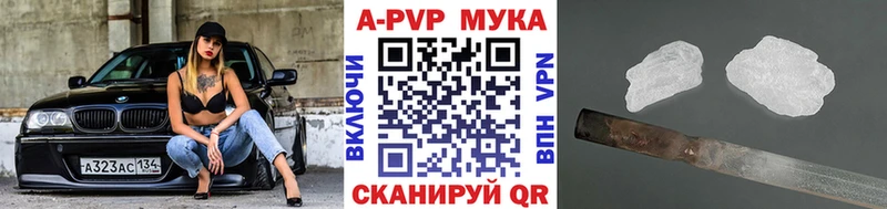 дарк нет какой сайт  Нальчик  Альфа ПВП крисы CK 