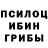 Галлюциногенные грибы MAGIC MUSHROOMS I_Didnt_Choose_shit_bro