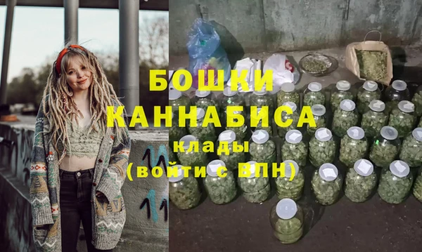 индика Надым
