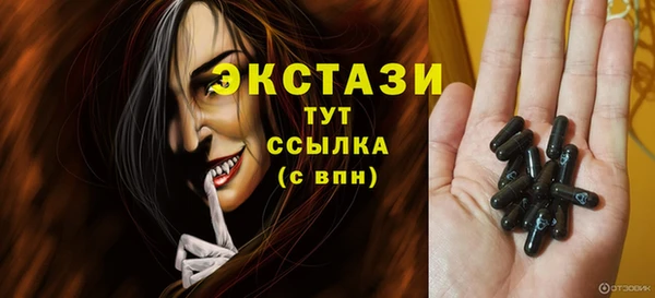 индика Надым
