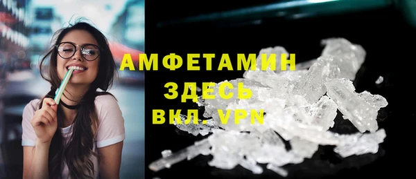 индика Надым