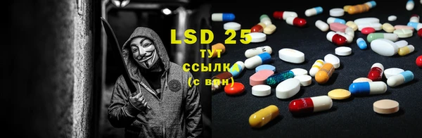 гашик Наволоки