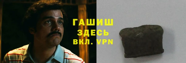 индика Надым