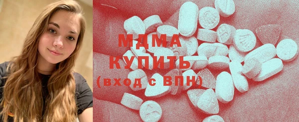 индика Надым