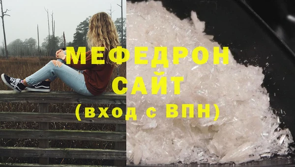 индика Надым