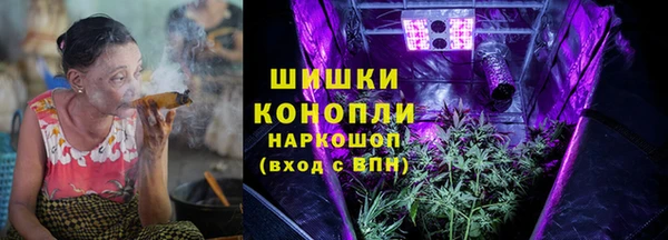 индика Надым