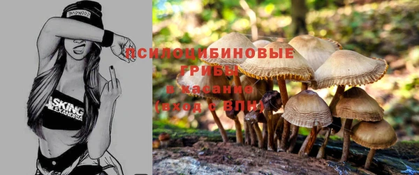 гашик Наволоки