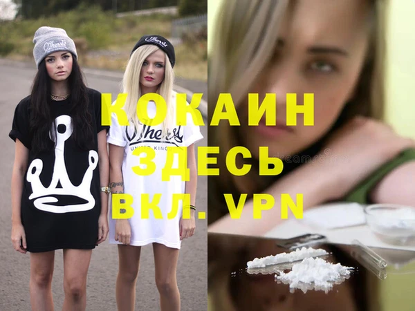 индика Надым
