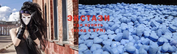 индика Надым