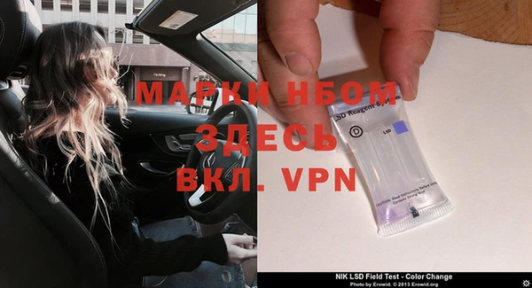 индика Надым