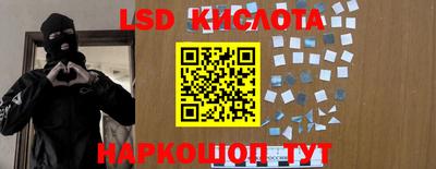 стаф Донецк