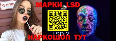 spice Дубна