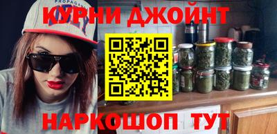 spice Дубна