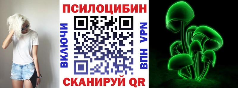 цена   Нальчик  Псилоцибиновые грибы Magic Shrooms 