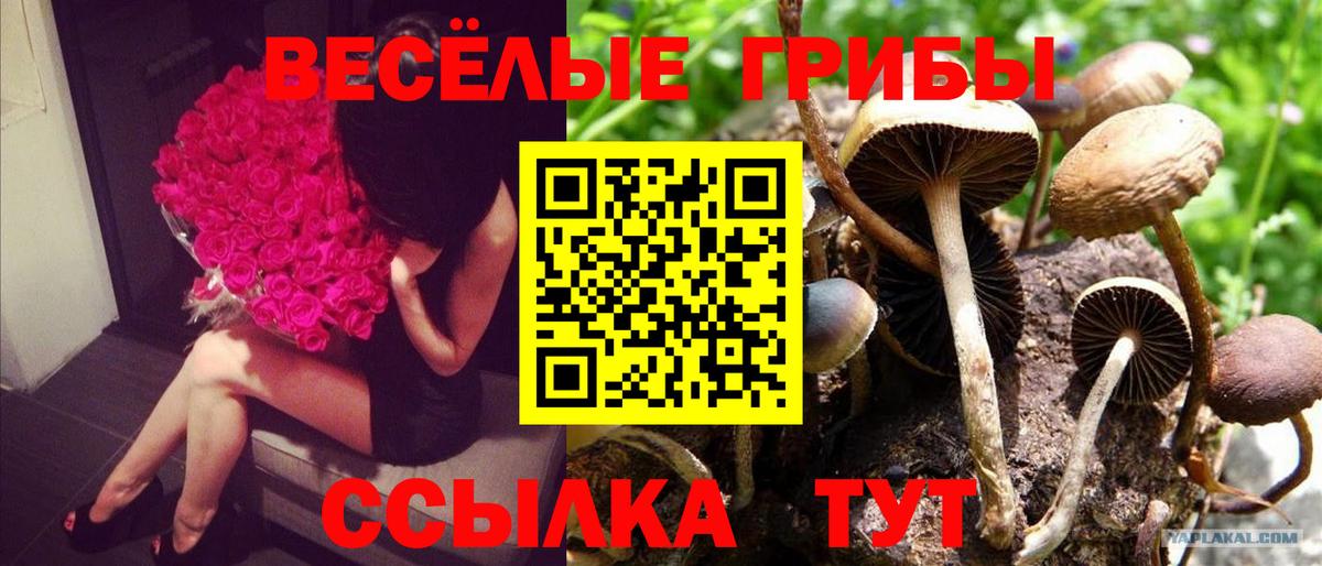 Галлюциногенные грибы MAGIC MUSHROOMS Нальчик
