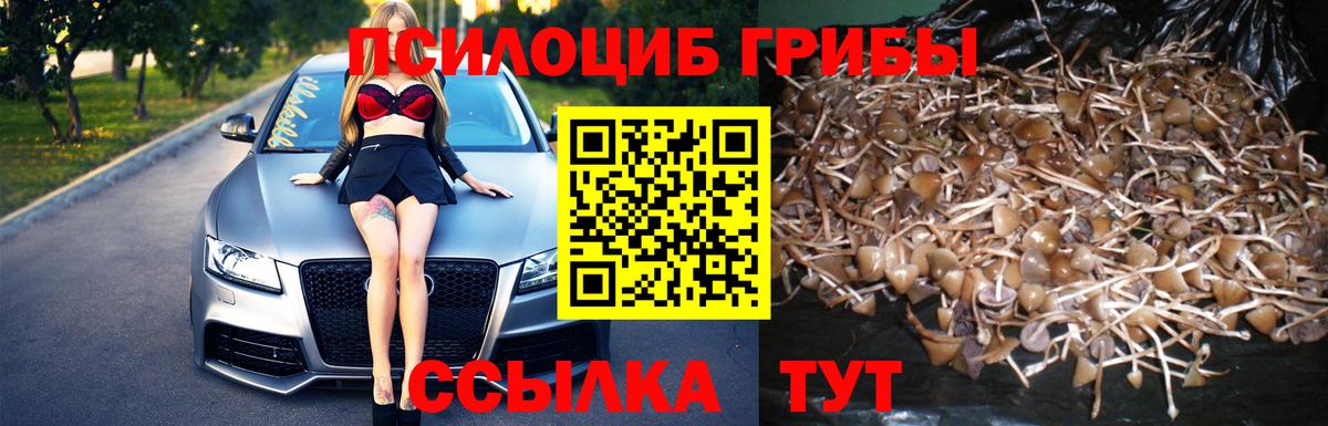 Галлюциногенные грибы Cubensis  Галлюциногенные грибы ЛСД  Вход с VPN  Нальчик 